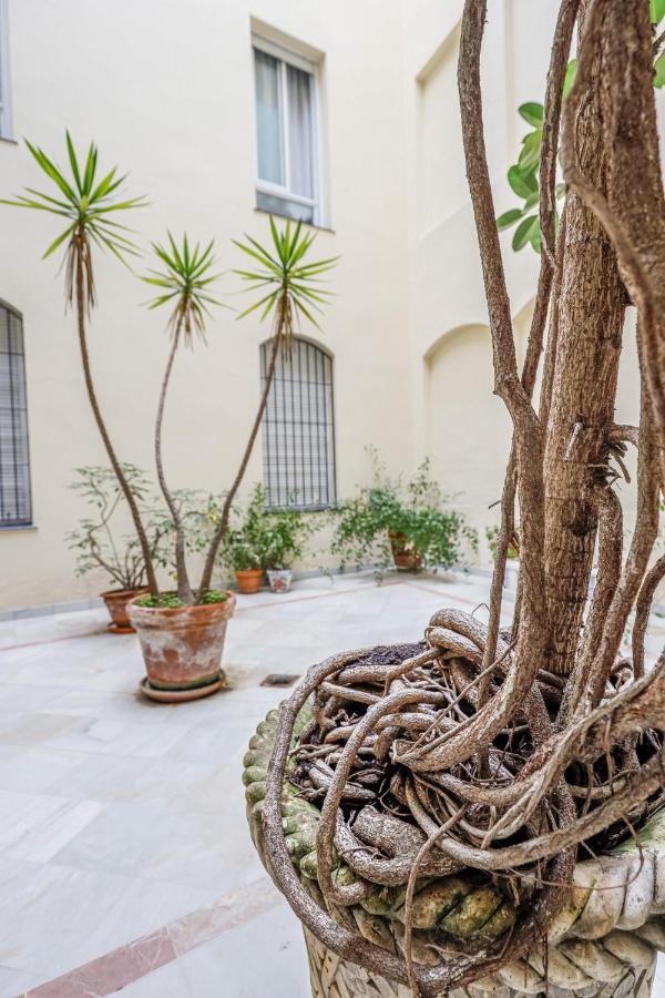 Chic&Luminoso-Wifiac/Elegant Apt In Salvador 2 Br Севілья Екстер'єр фото